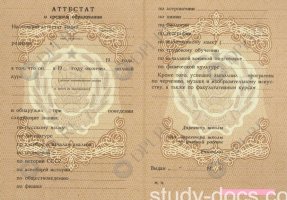 Аттестат 8 классов Аттестат 8 классов в Нижнекамске